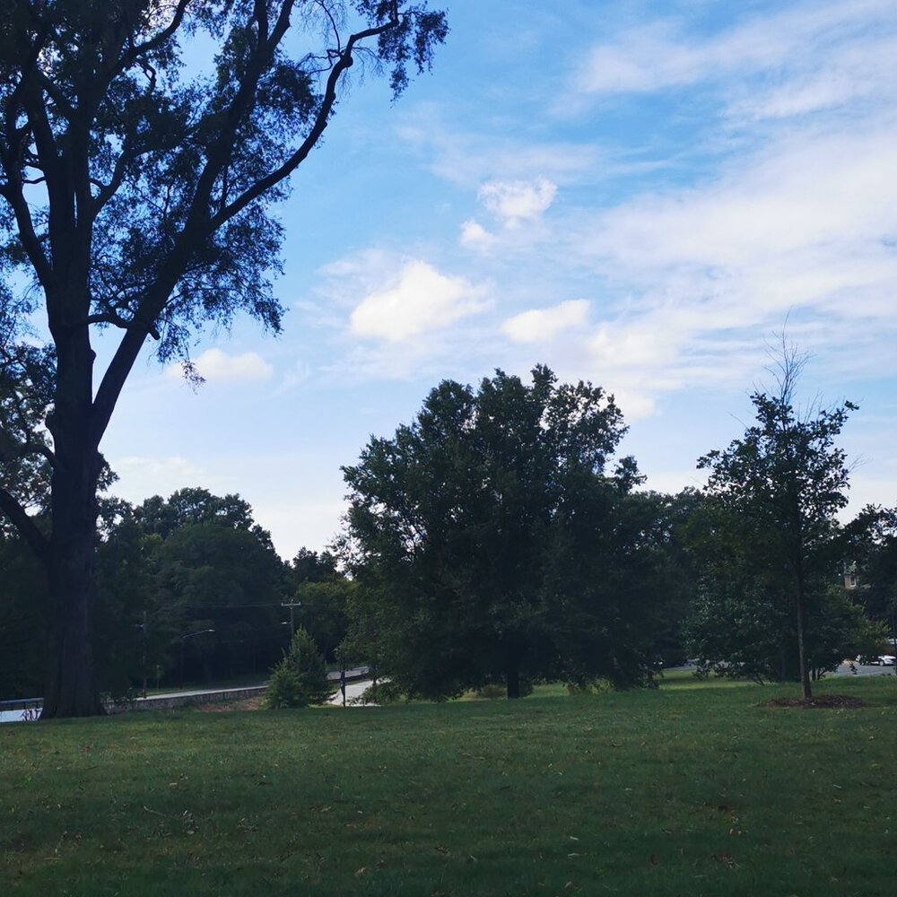 Meet your Posher, Salma